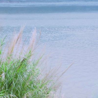 聚焦防汛抗旱丨太湖发生2024年第1号洪水